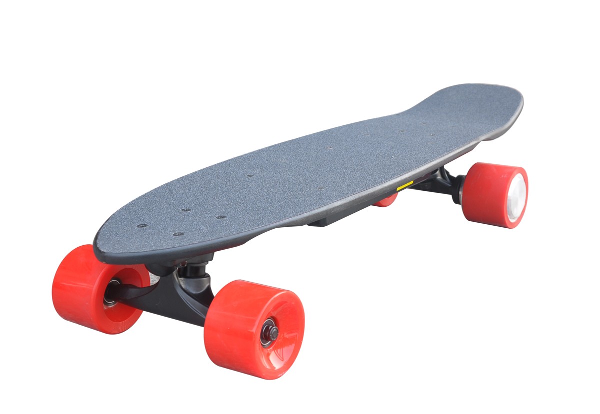 Single-motor Electric Skateboard for Kids