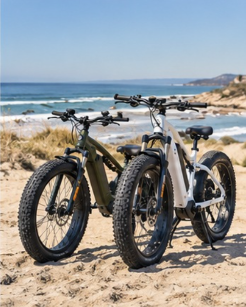 20-Inch vs 26-Inch Fat-Tire E-Bikes: Which Platform Should Buyers Choose?